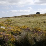 Dartmoor national park